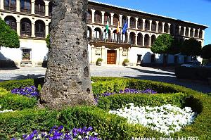 496- Ronda